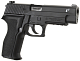 tm_gas_p226_e2_4.jpg