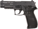 SIG Sauer P226, ABS, GBB, ACM