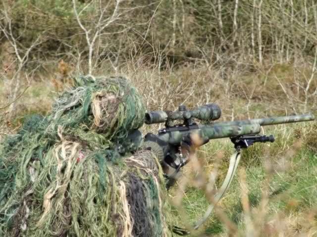 Camouflaged Sniper in the Forest Stock Image - Image of enemy